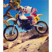 Рейтинг кроссовых мотоциклов класса 500сс 1988 года