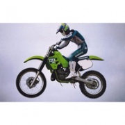 Kawasaki KX250 1988 года: Несомненный успех