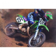 Рейтинг кроссовых мотоциклов класса 250сс 1993 года