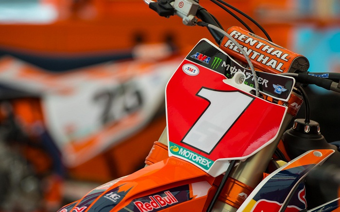 главное фото.jpg