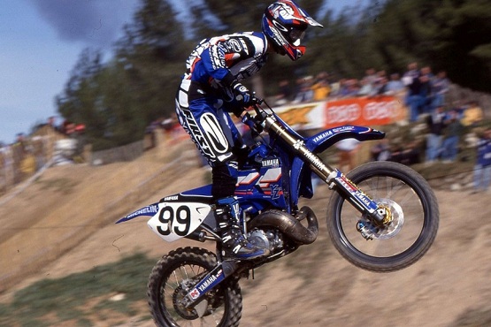 1999 вуллемен.jpg