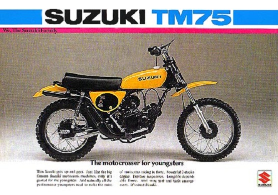 1976 TM75_brochure_500.jpg