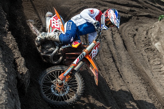 2017 кайроли и херлингс-1.jpg