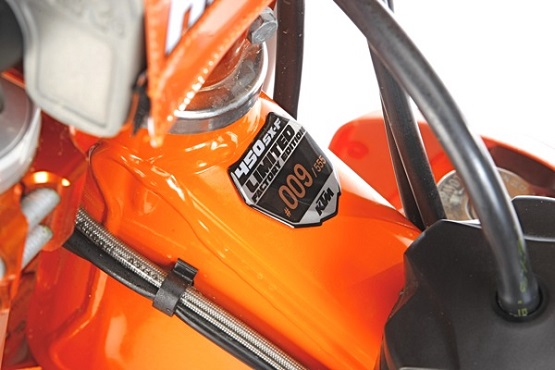 2013 данжи реплика.jpg