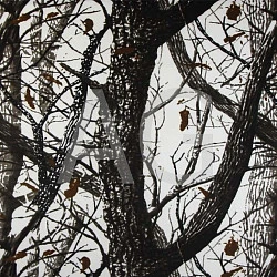 Чехол для квадроцикла ATV универсальный XL