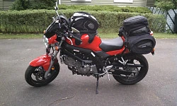 OGIO Tail Bag Stealth сумка на хвост мотоцикла верхняя, черный